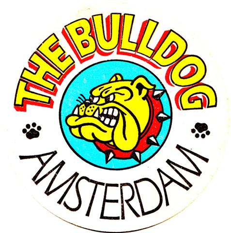 amsterdam nh-nl bulldog 1a (rund215-bulldogge mit zackenhalsband)